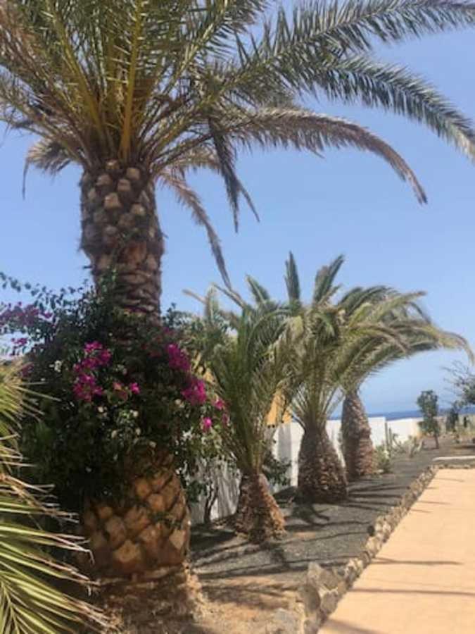 Amaya Relax Costa De Antigua Dış mekan fotoğraf